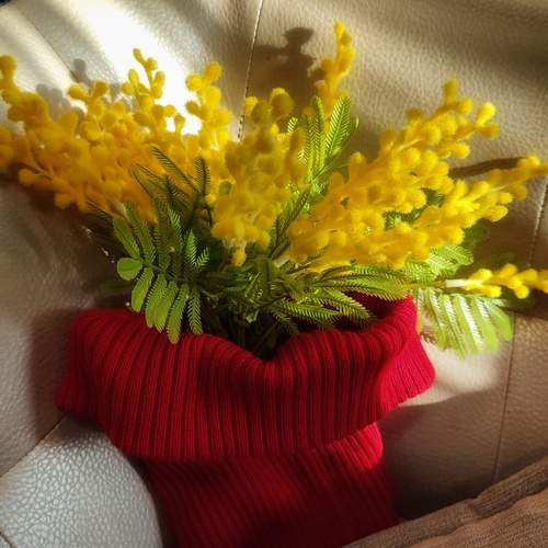Photo #13423303