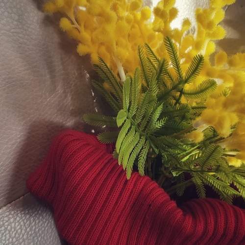 Photo #13423304