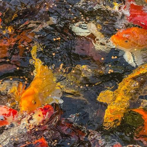 Photo #13423378