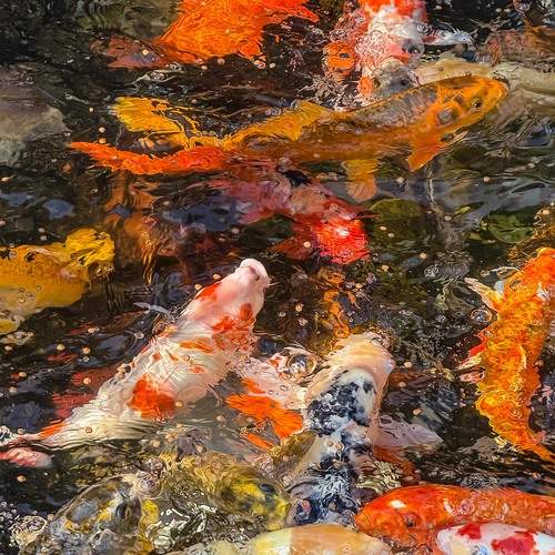 Photo #13423379