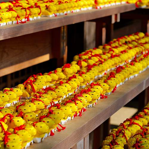 Where Red Burns Bright