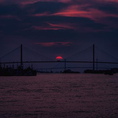 Photo #13423546