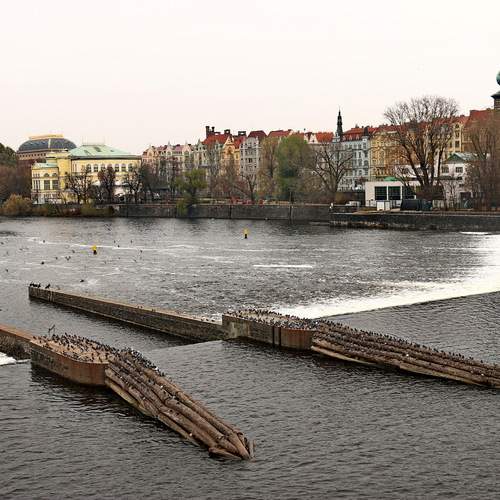 Река Влтава, Прага. Prague.