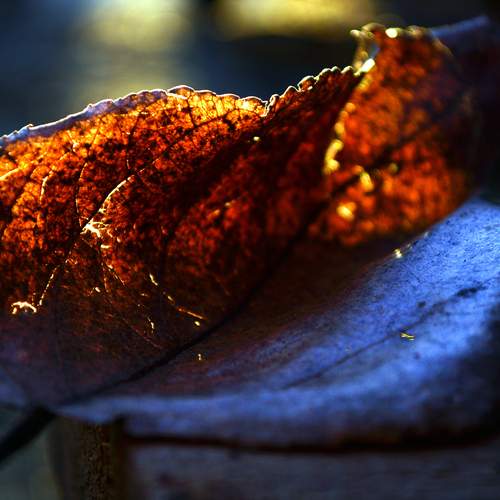 Photo #13423706