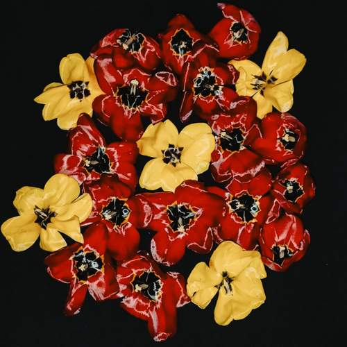 Photo #13423771