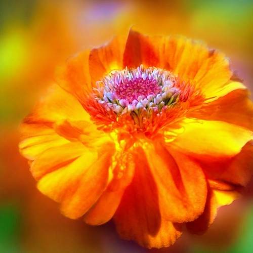 Photo #13423837