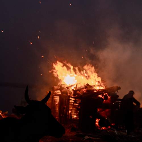 Photo #13424002