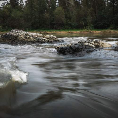 Photo #13424027