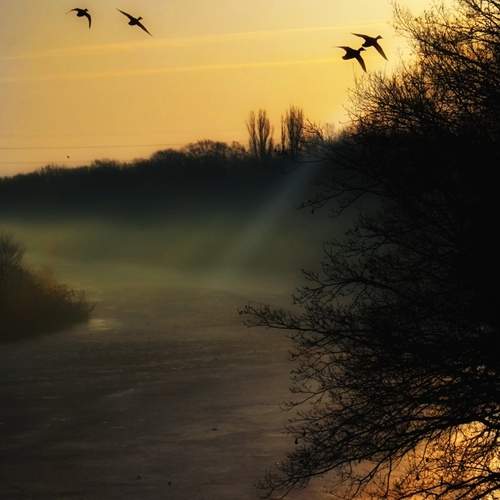 Photo #13424029