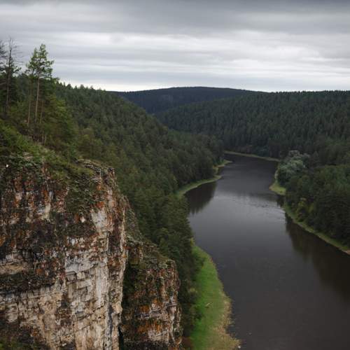 Photo #13424046
