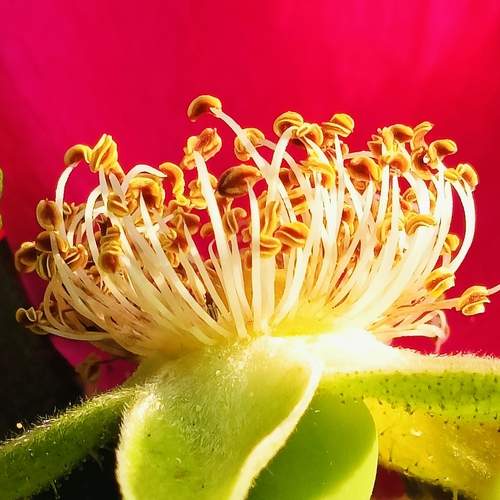Photo #13424081