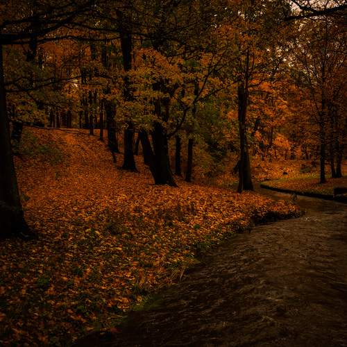 Photo #13424143