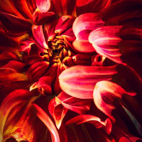 Photo #13424194