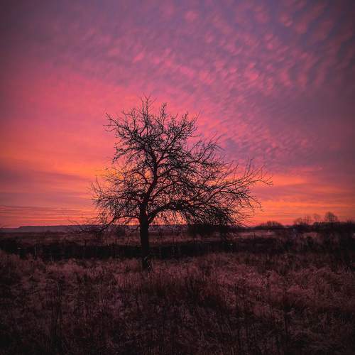Photo #13424212
