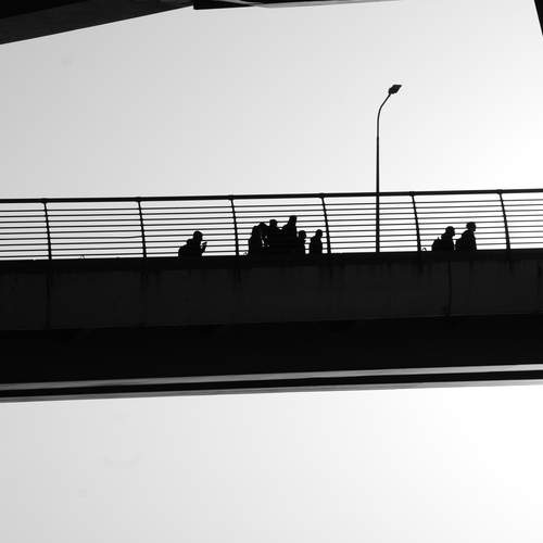 Photo #13424262