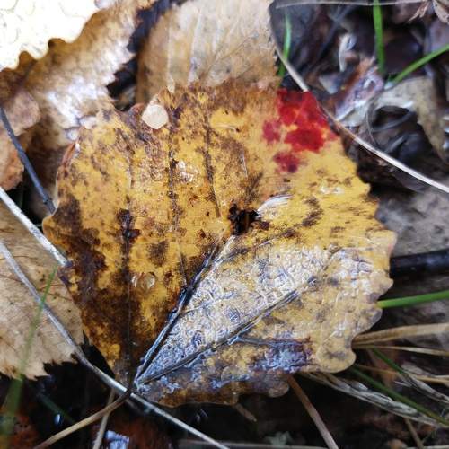 Photo #13424328