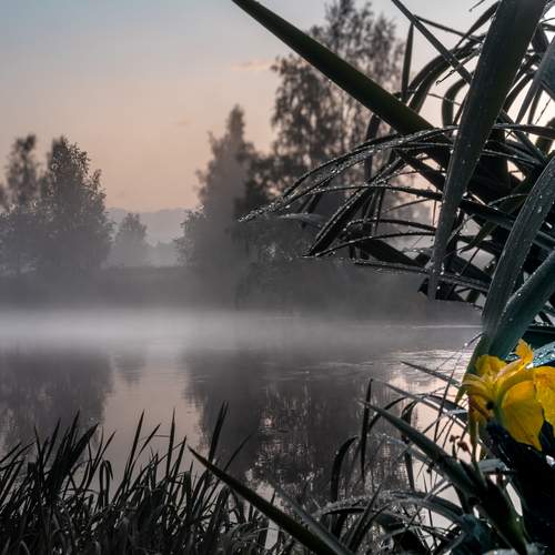Photo #13424363