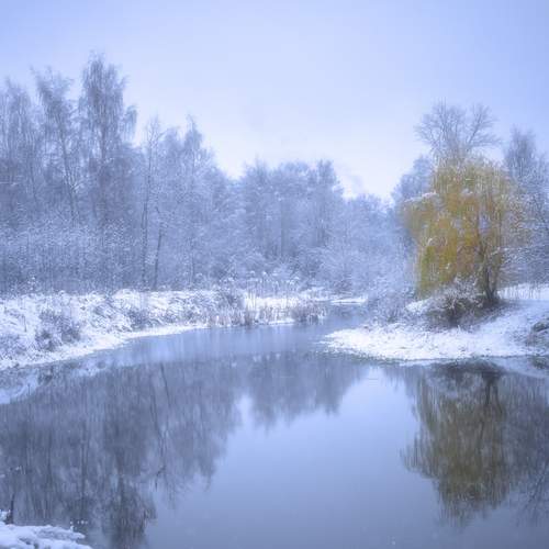 Photo #13424367