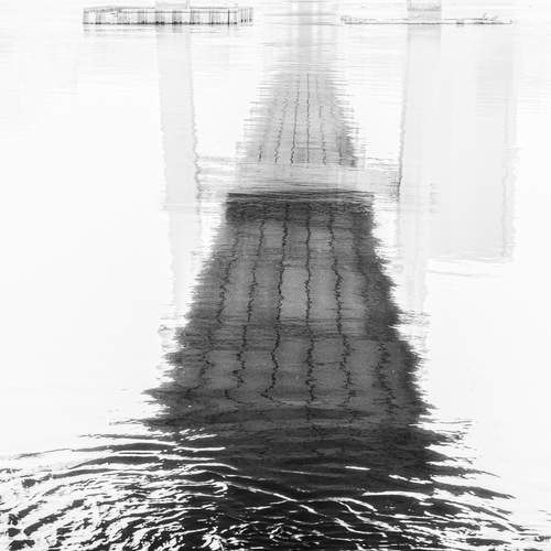 Photo #13424636