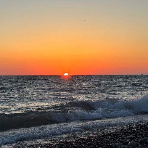 Photo #13424661