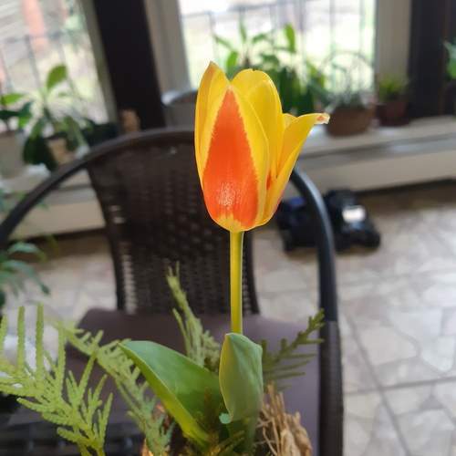 Photo #13424662