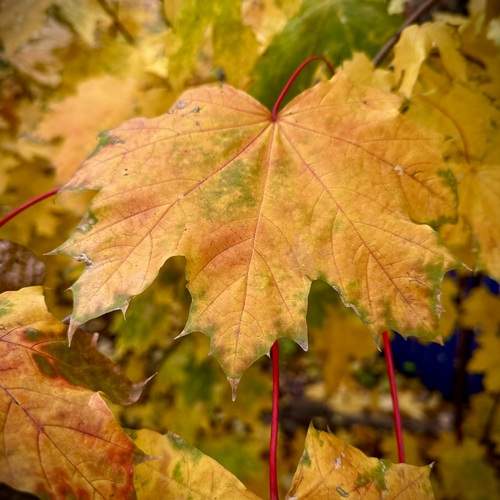 Photo #13424753