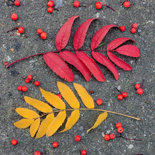 Photo #13424875