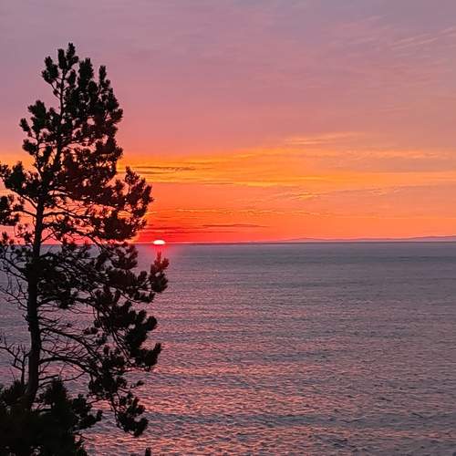 Photo #13424963