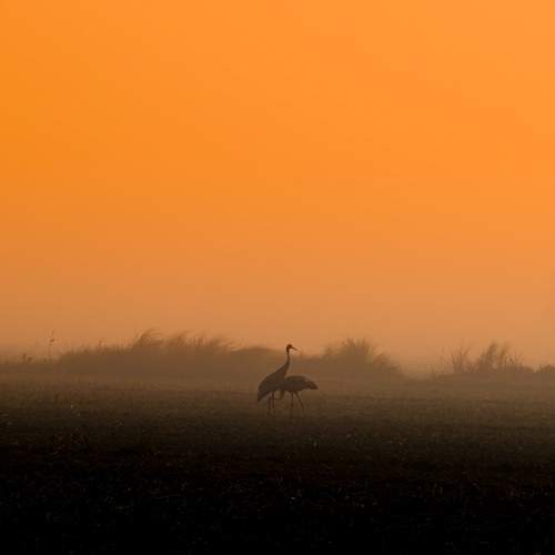 Photo #13425563