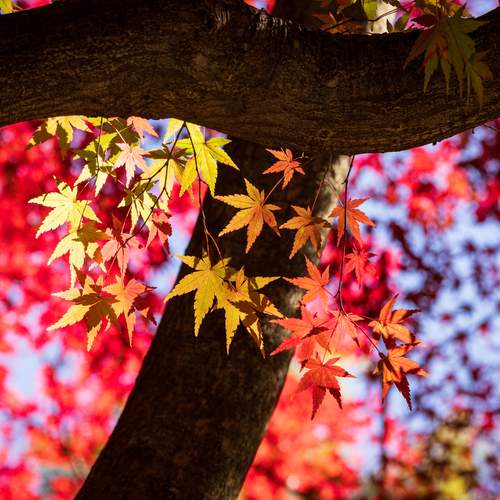 Photo #13425587