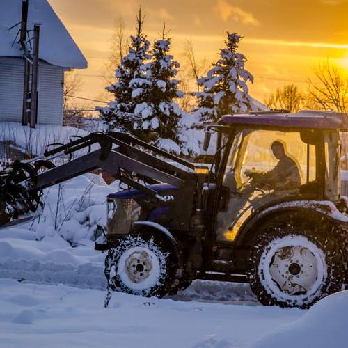 Photo #13425600
