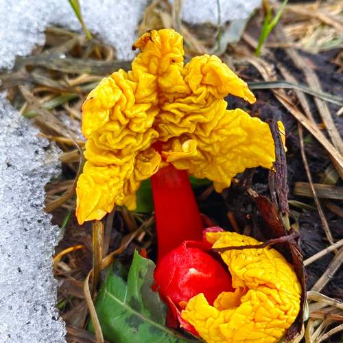 Photo #13425670