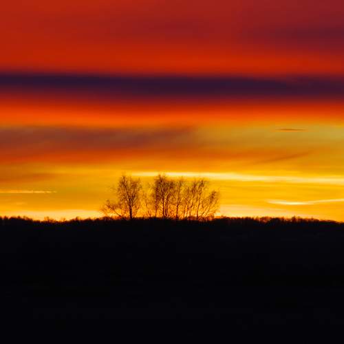 Photo #13425679