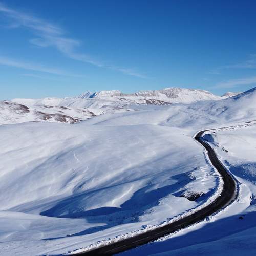 Photo #13425813