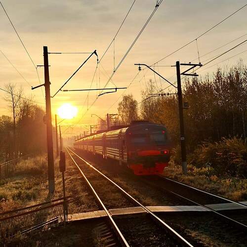 Photo #13425981