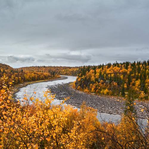 Photo #13426178