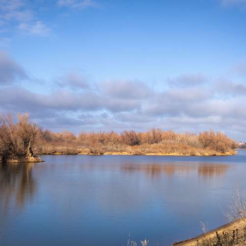 Фотография #13426189