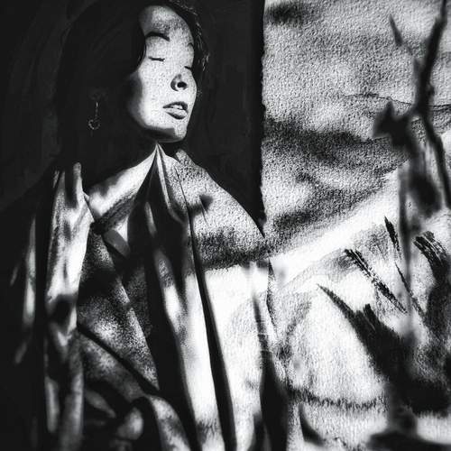 Photo #13426244