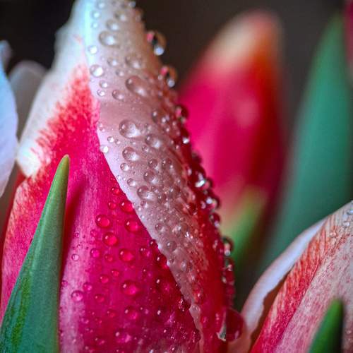Photo #13426370
