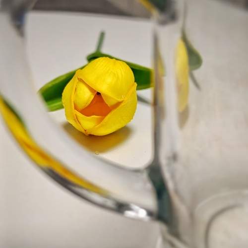 Photo #13426542