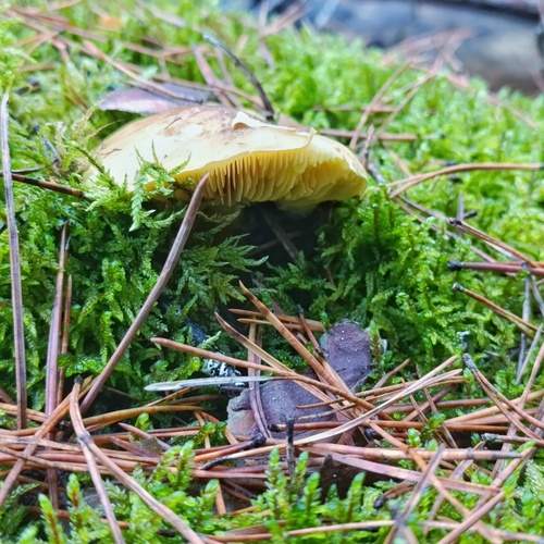 Photo #13426576