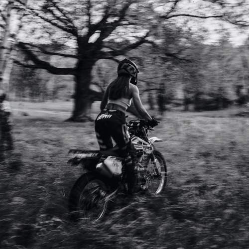 Photo #13426842