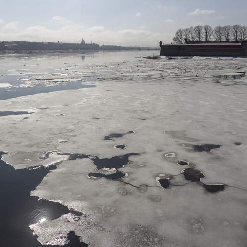 Photo #13427459