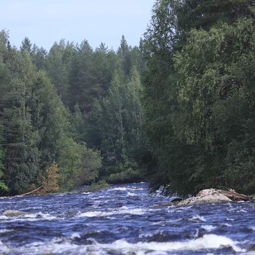 РЕКА Сегежа