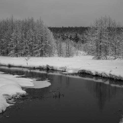 Photo #13427810