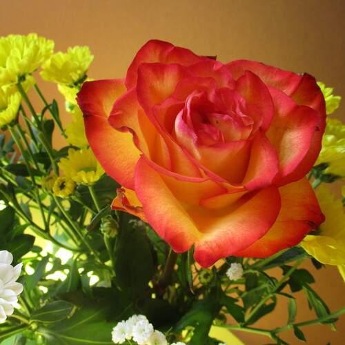 Photo #13427881