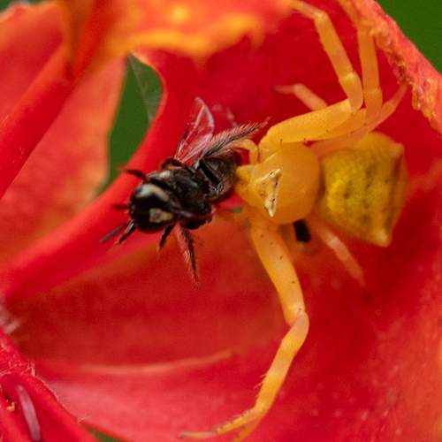 Фотография #13428029