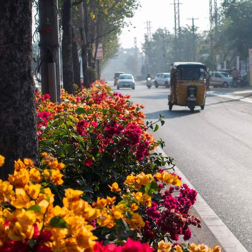 Фотография #13428031