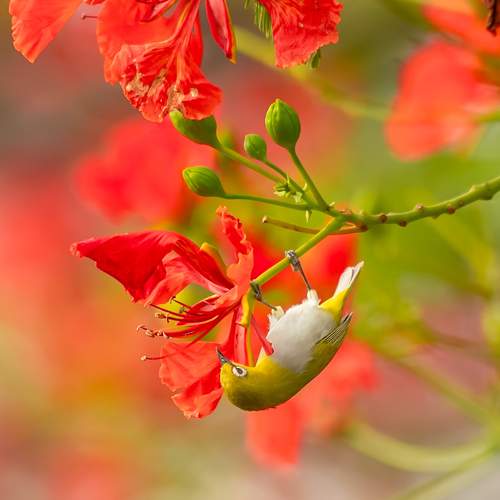 Фотография #13428032