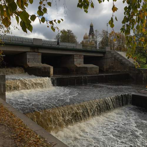 Photo #13428066